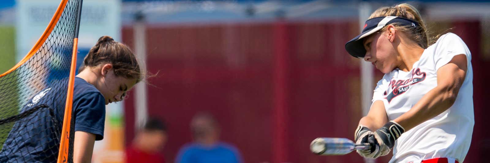 softball scholarship facts