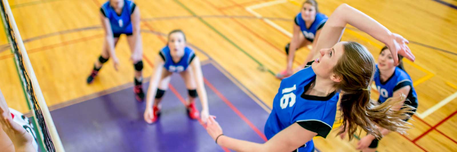 womens volleyball scholarship facts 1